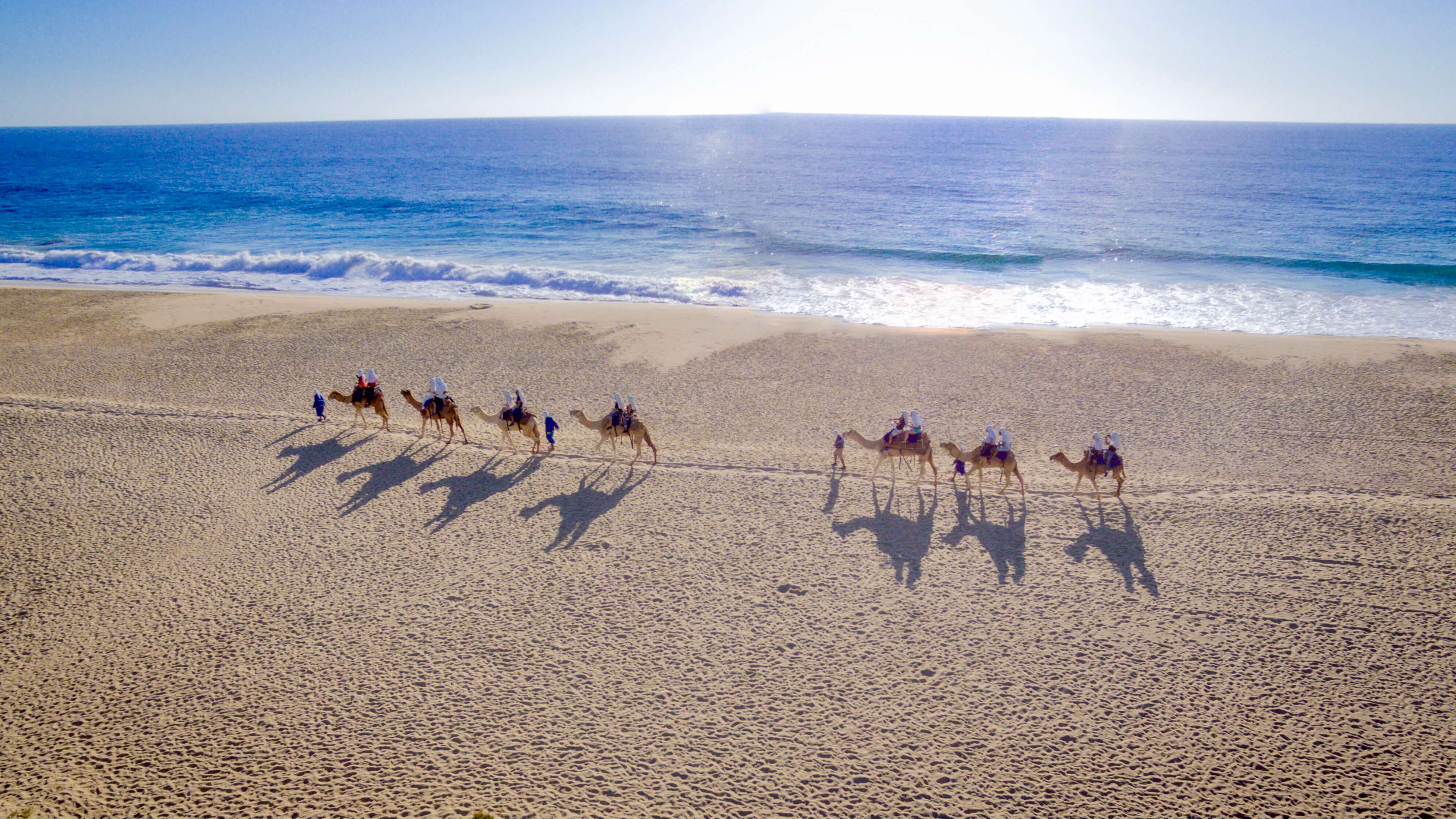 Outback Camel Safari in Los Cabos