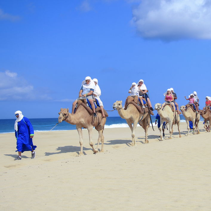 Camel ride on the beach